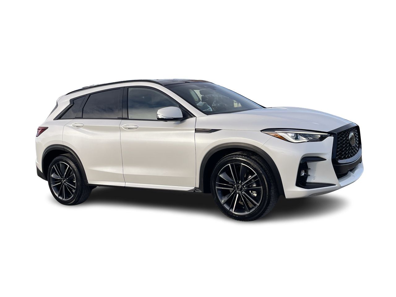 2025 Infiniti QX50 in Calgary, Alberta