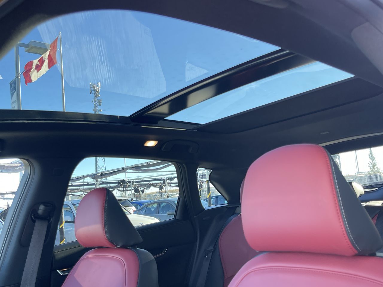 2025 Infiniti QX50 in Calgary, Alberta