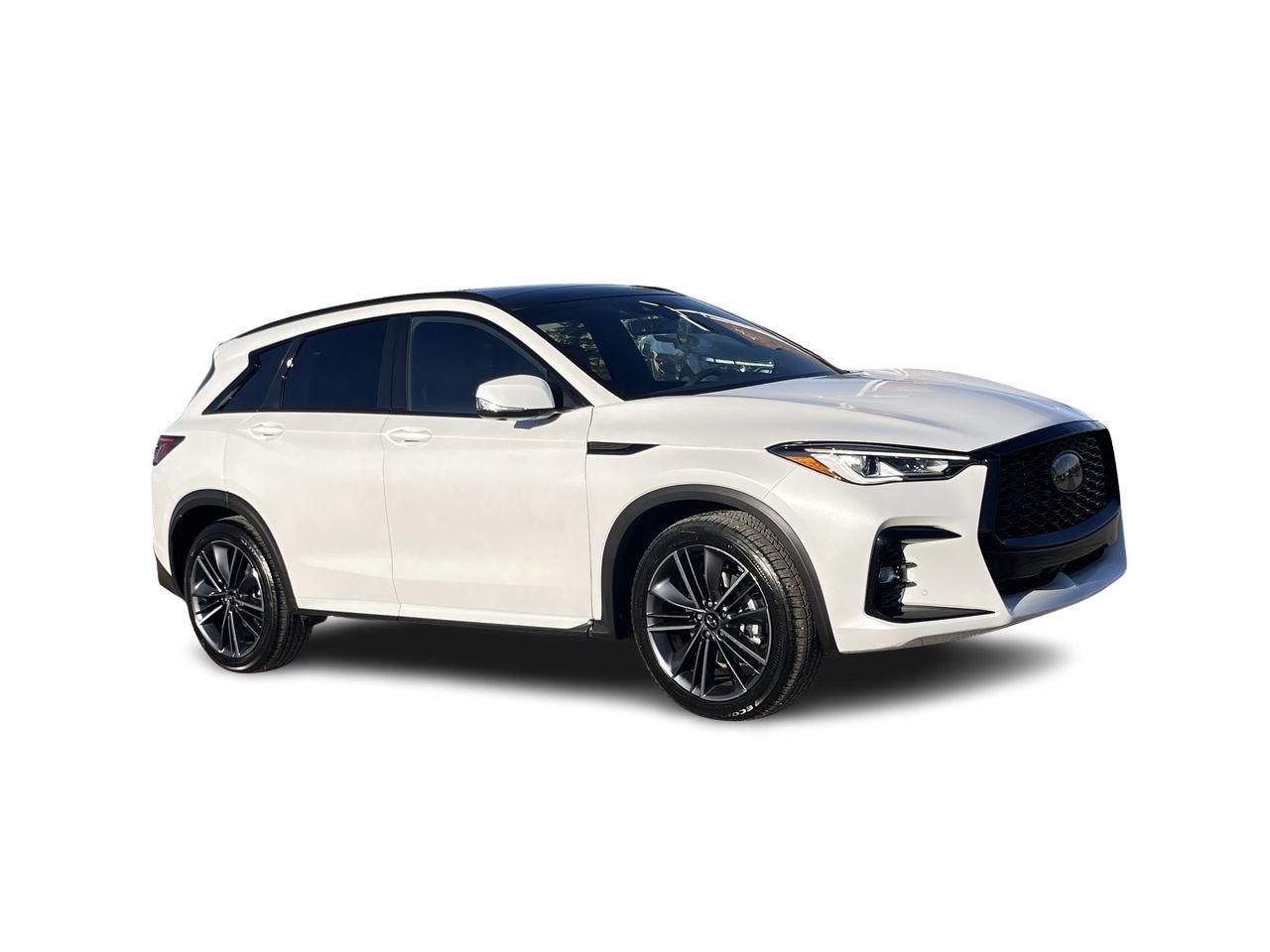 2025 Infiniti QX50 in Calgary, Alberta