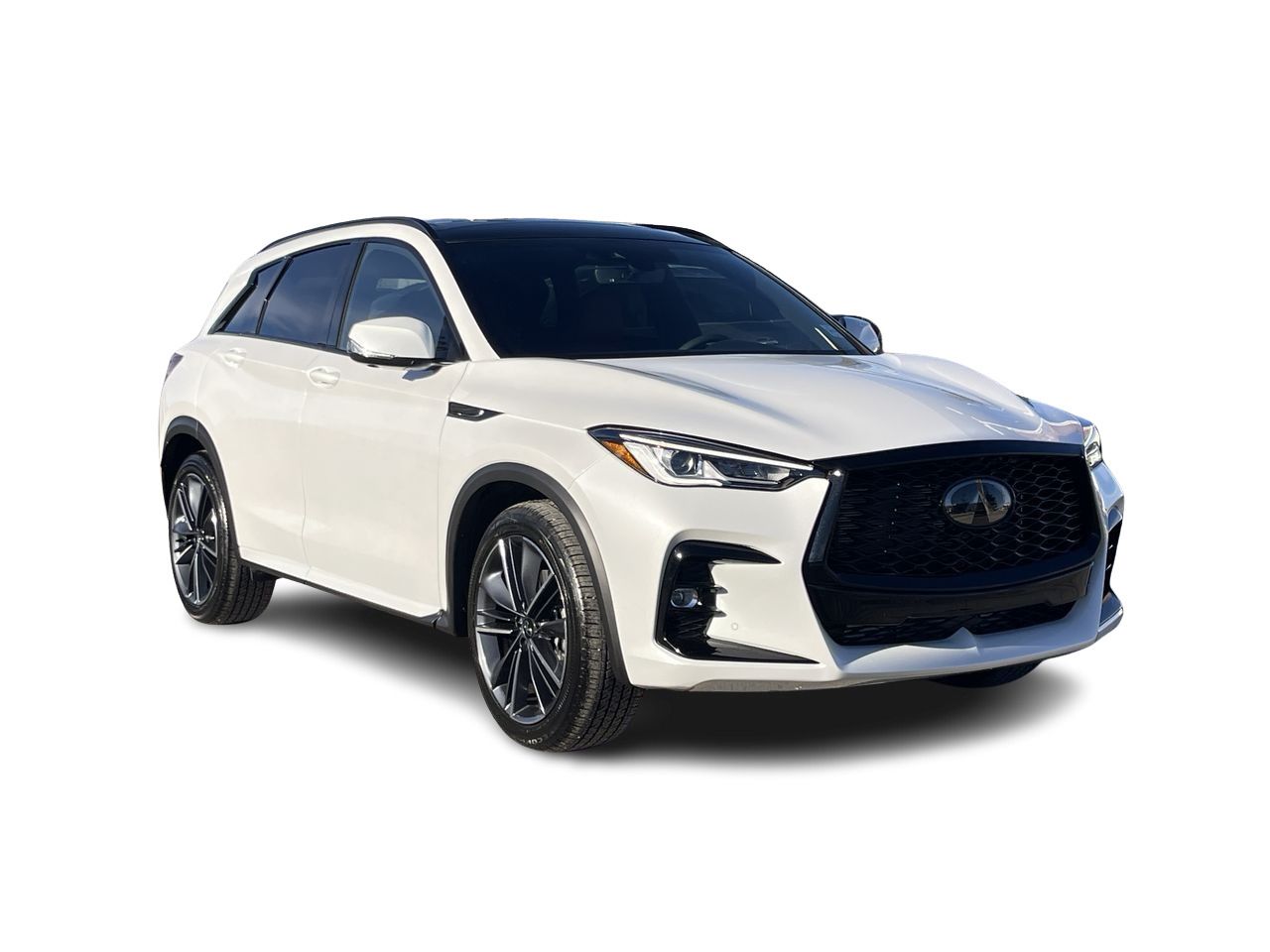 2025 Infiniti QX50 in Calgary, Alberta
