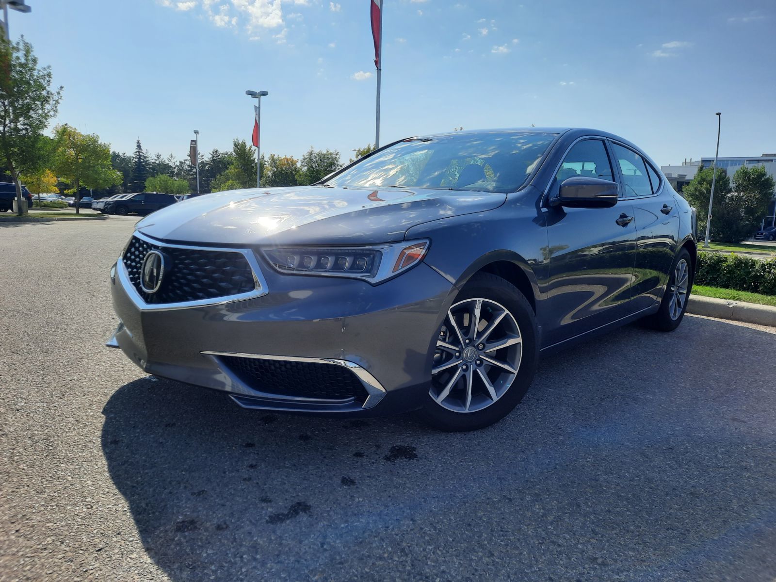 2019 Acura TLX in Calgary, Alberta