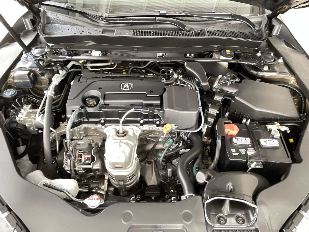 Acura TLX  2020 à Calgary, Alberta