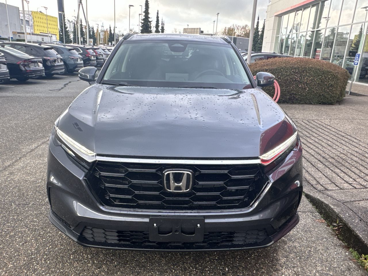 2025 Honda CR-V in Calgary, Alberta