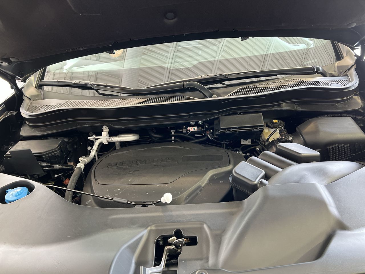 2023 Honda Passport