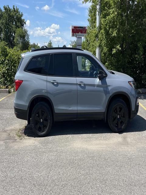 2022 Honda Pilot in Calgary, Alberta