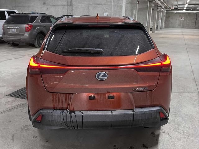 2022 Lexus UXh in Calgary, Alberta