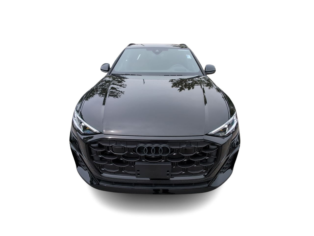 2025 Audi Q8 in North Vancouver, British Columbia