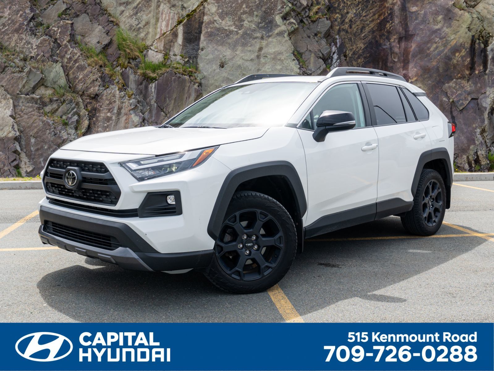 2022 Toyota RAV4 Trail-0