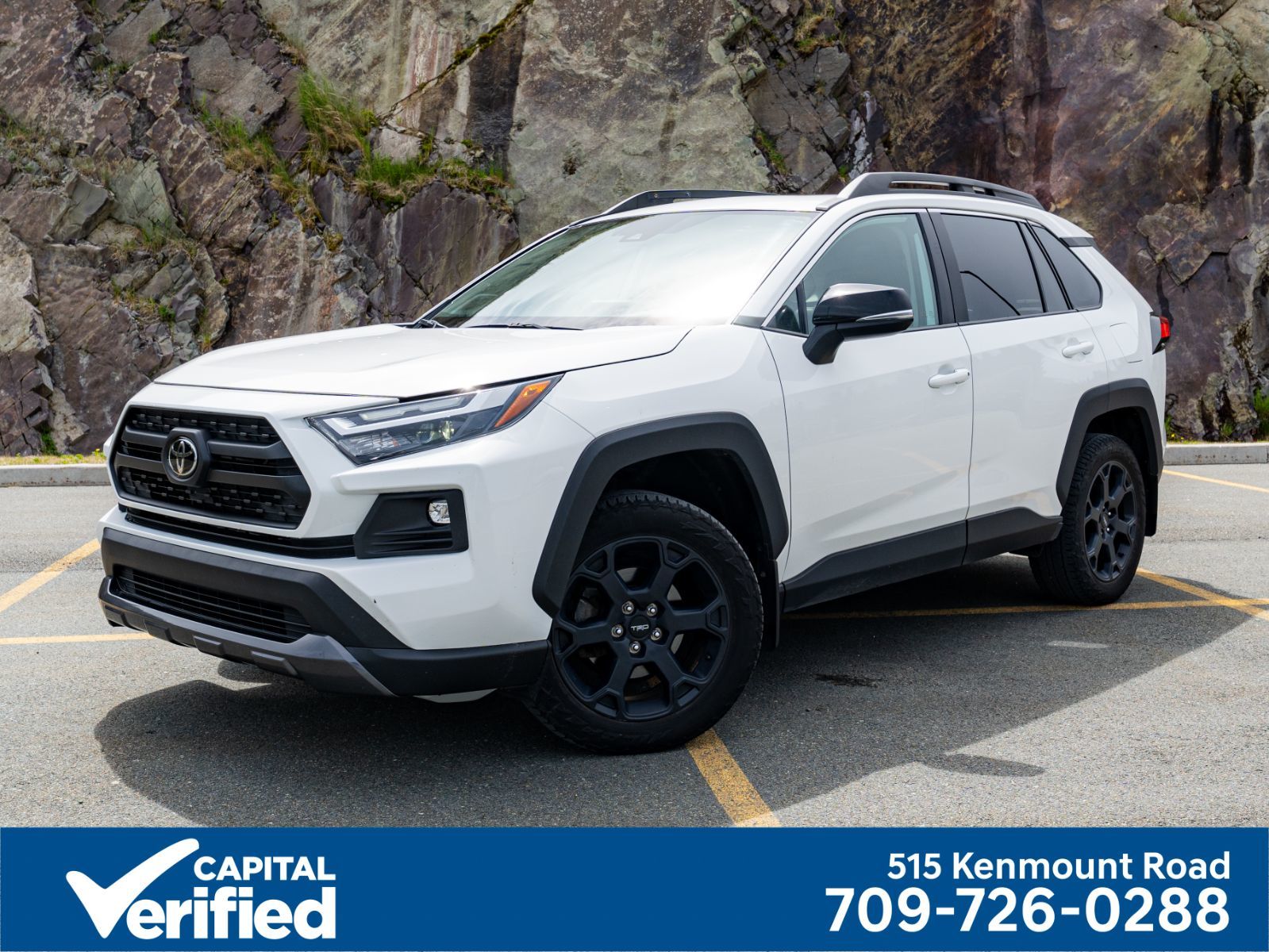 2022 Toyota RAV4 Trail-0
