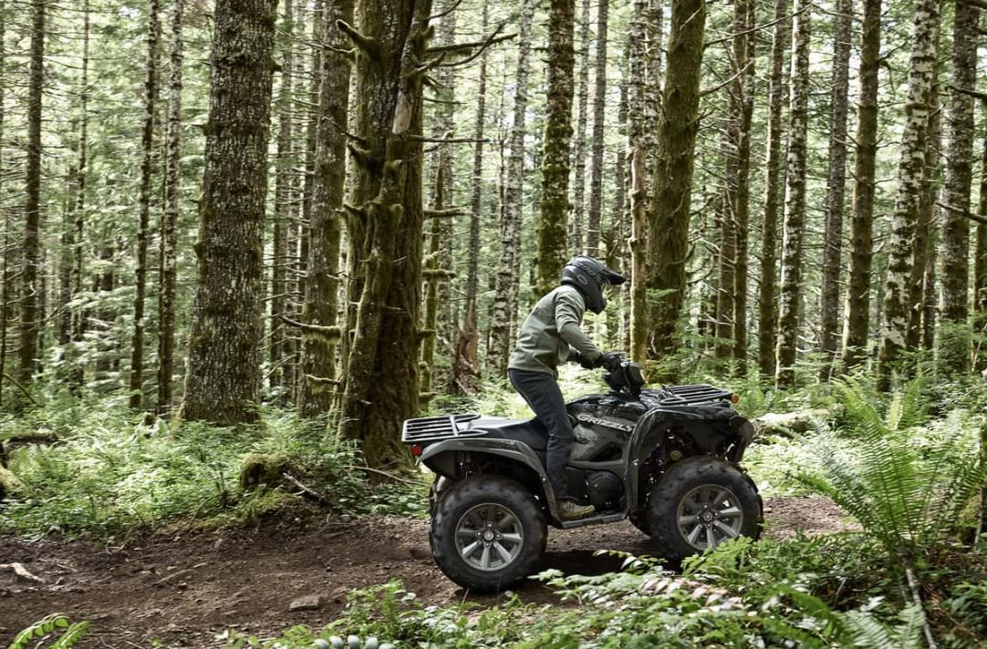 Yamaha Grizzly EPS SE 2025