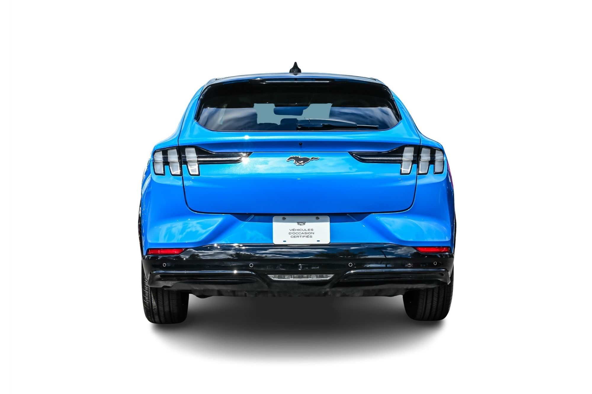 2024 Ford Mustang Mach-E in Dollard-des-Ormeaux, Quebec