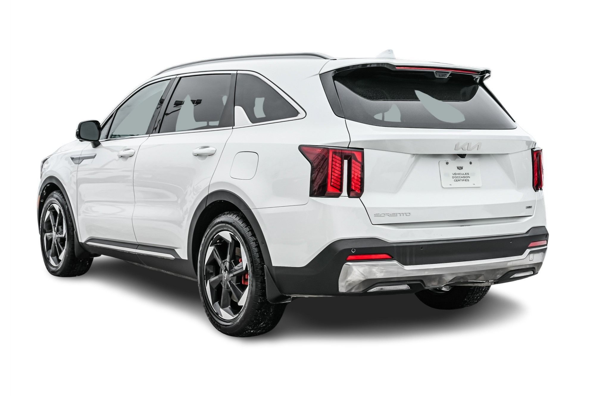 Kia Sorento Hybrid  2025 à Dollard-des-Ormeaux, Québec