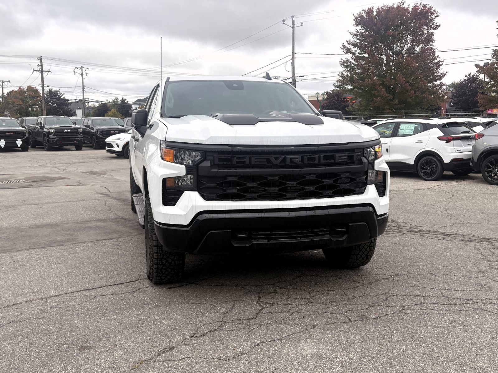Photo Chevrolet Silverado 1500 Custom Trail Boss 2026 #2