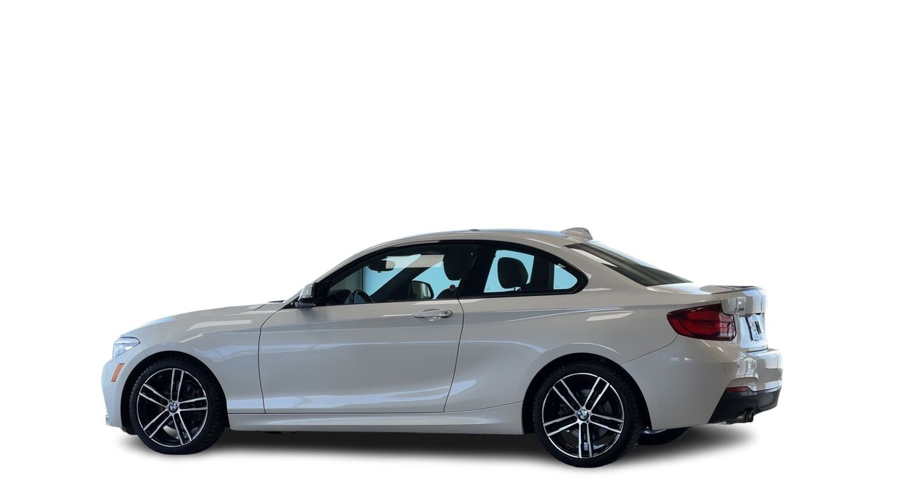2020 BMW 230i