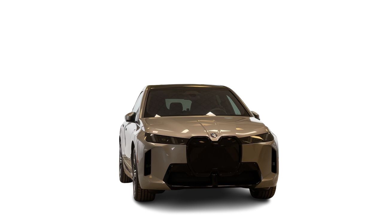 2026 BMW iX