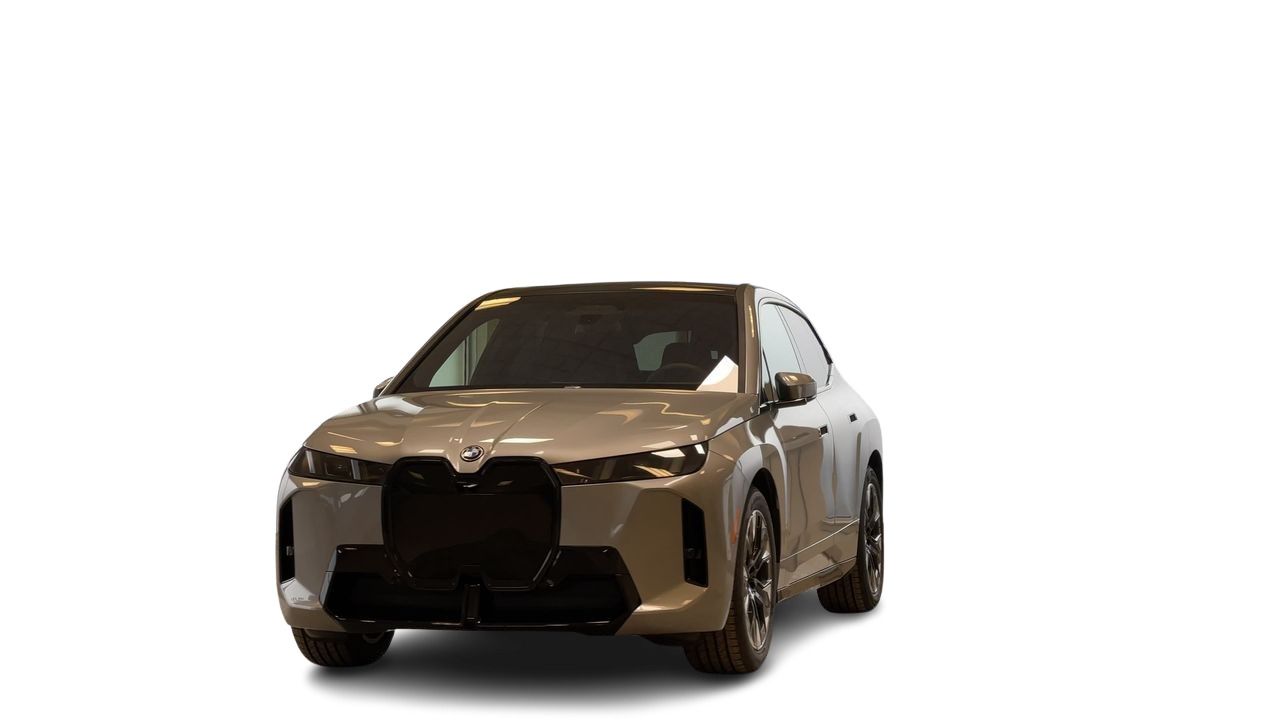 2026 BMW iX