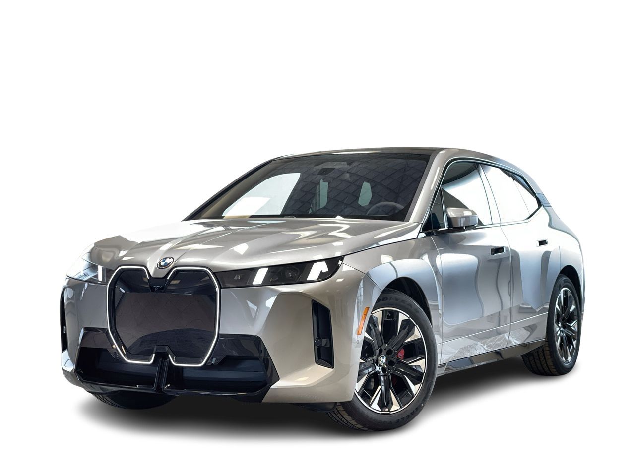 2026 BMW iX