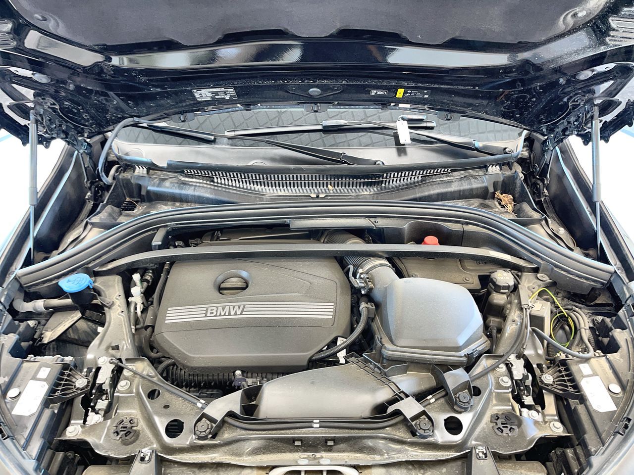 2025 BMW X1 in Regina, Saskatchewan