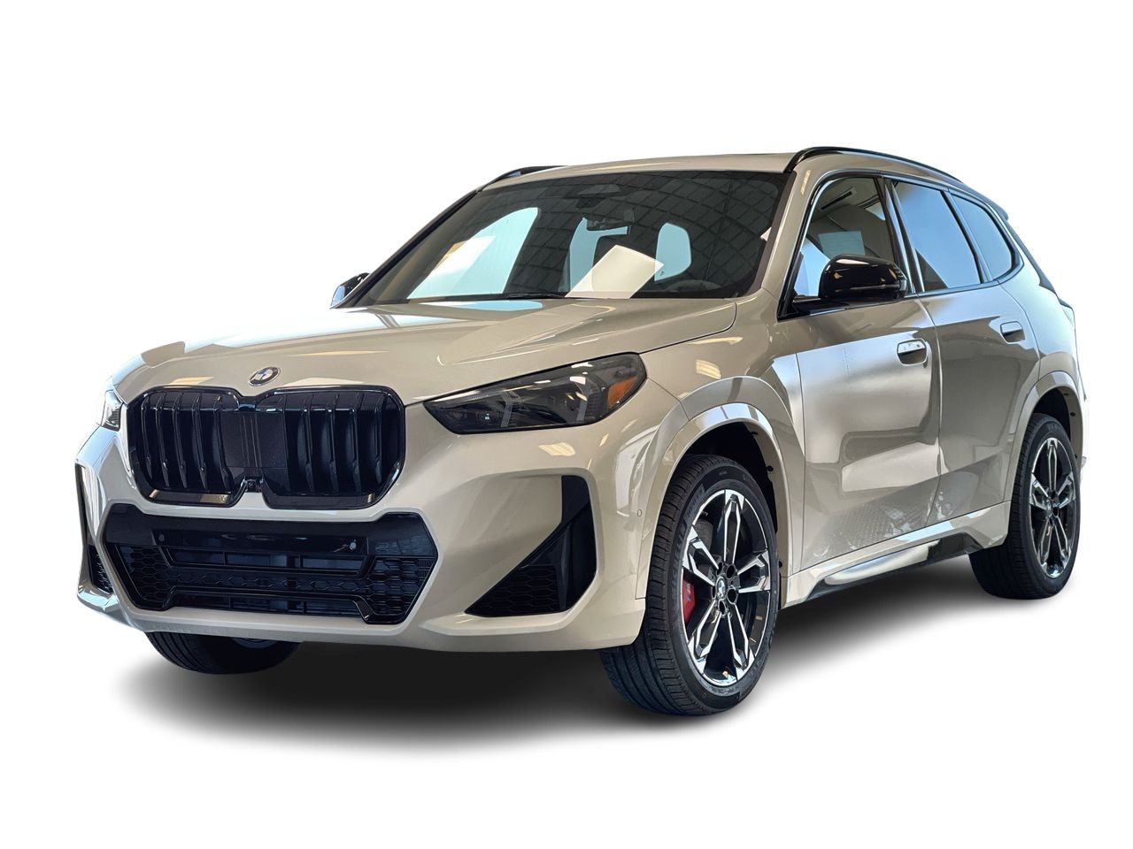 2025 BMW X1