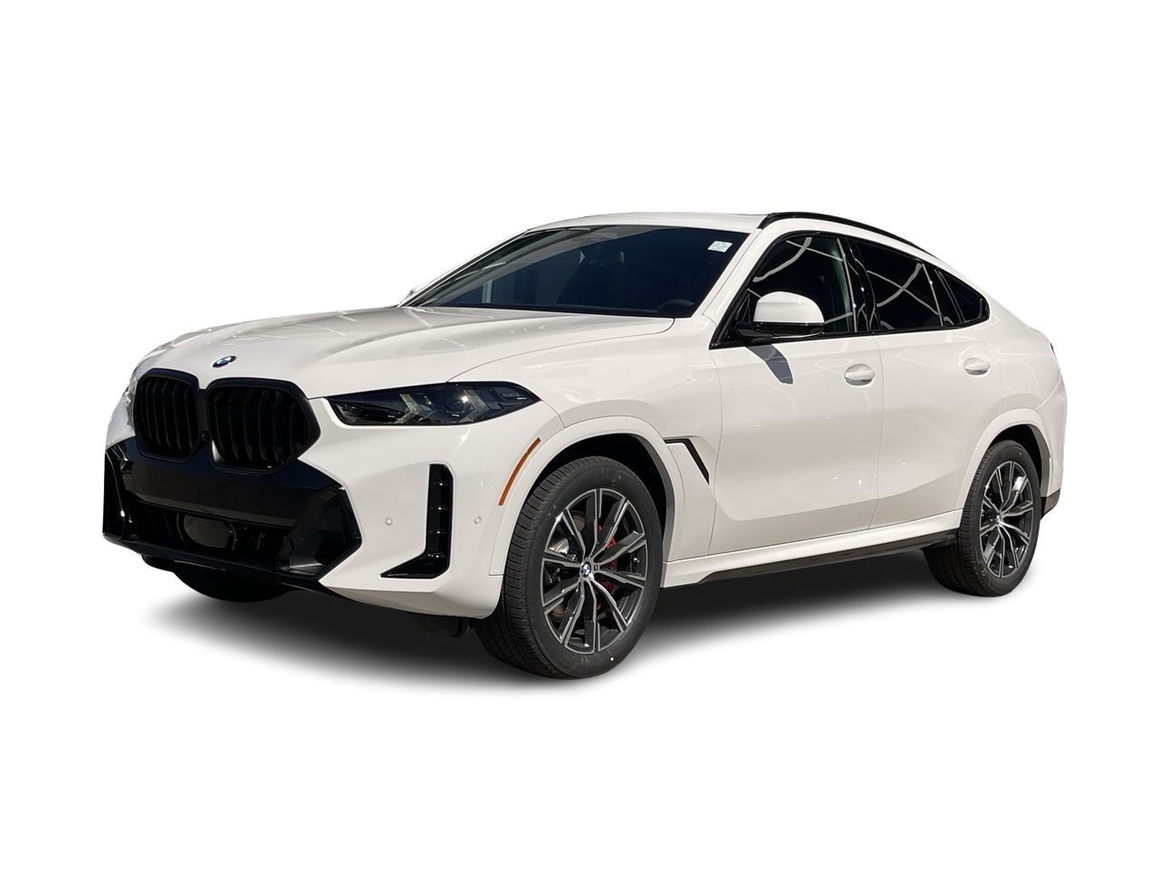 2025 BMW X6