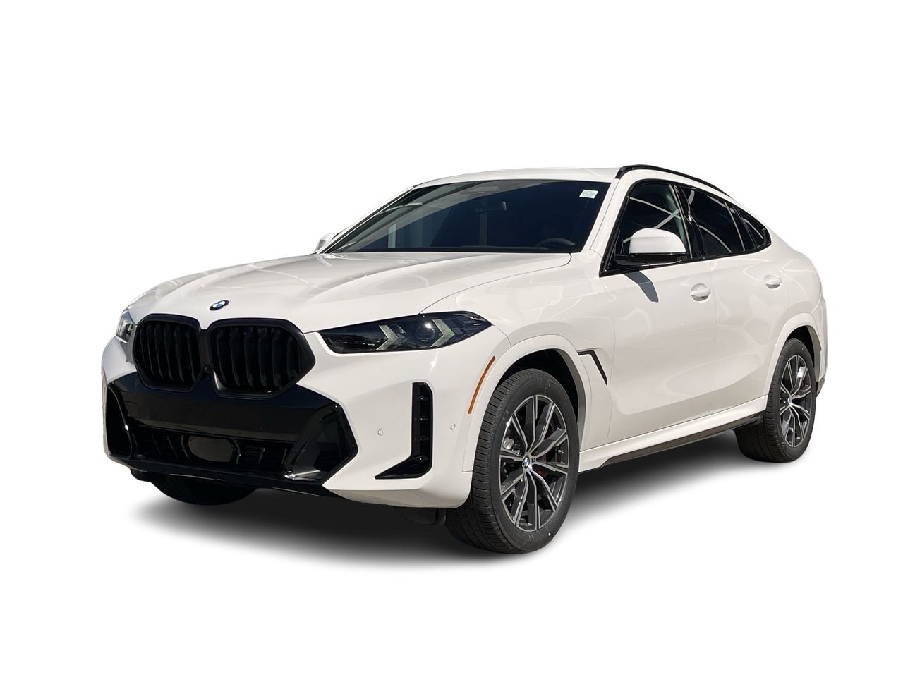 2025 BMW X6