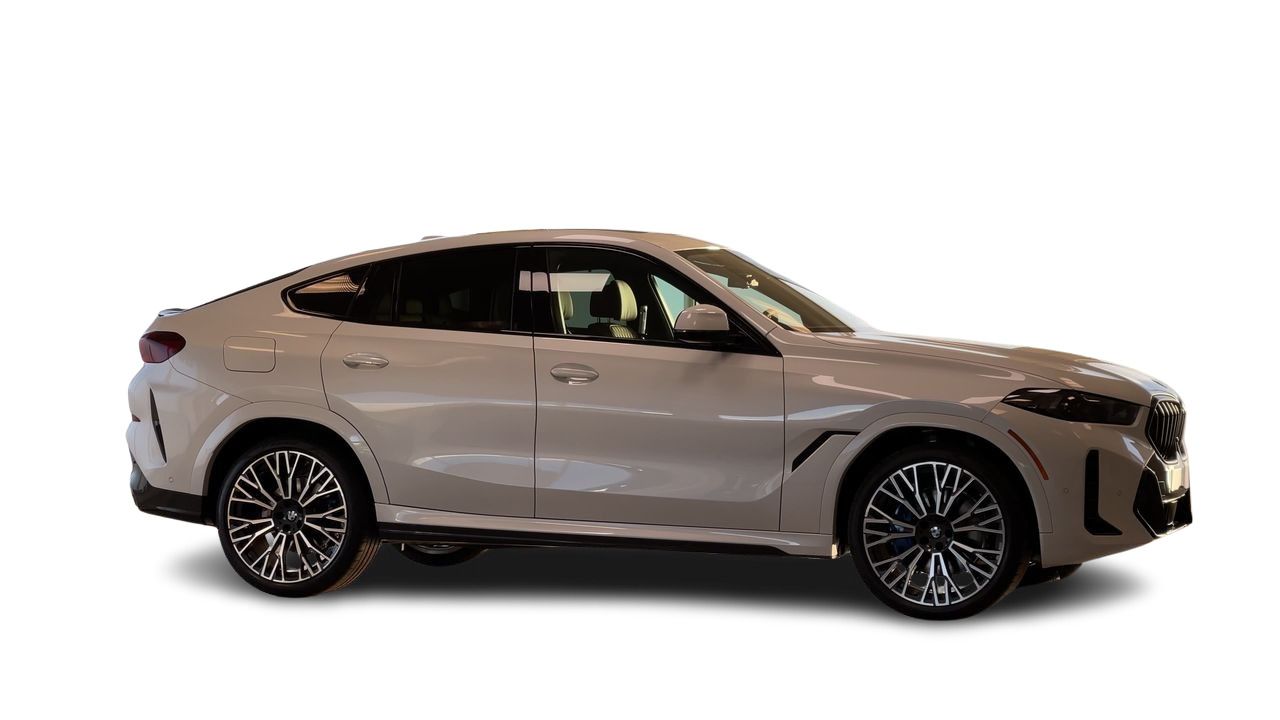 2026 BMW X6