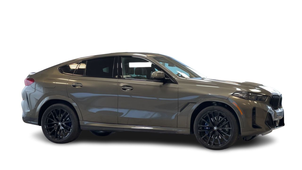 2026 BMW X6