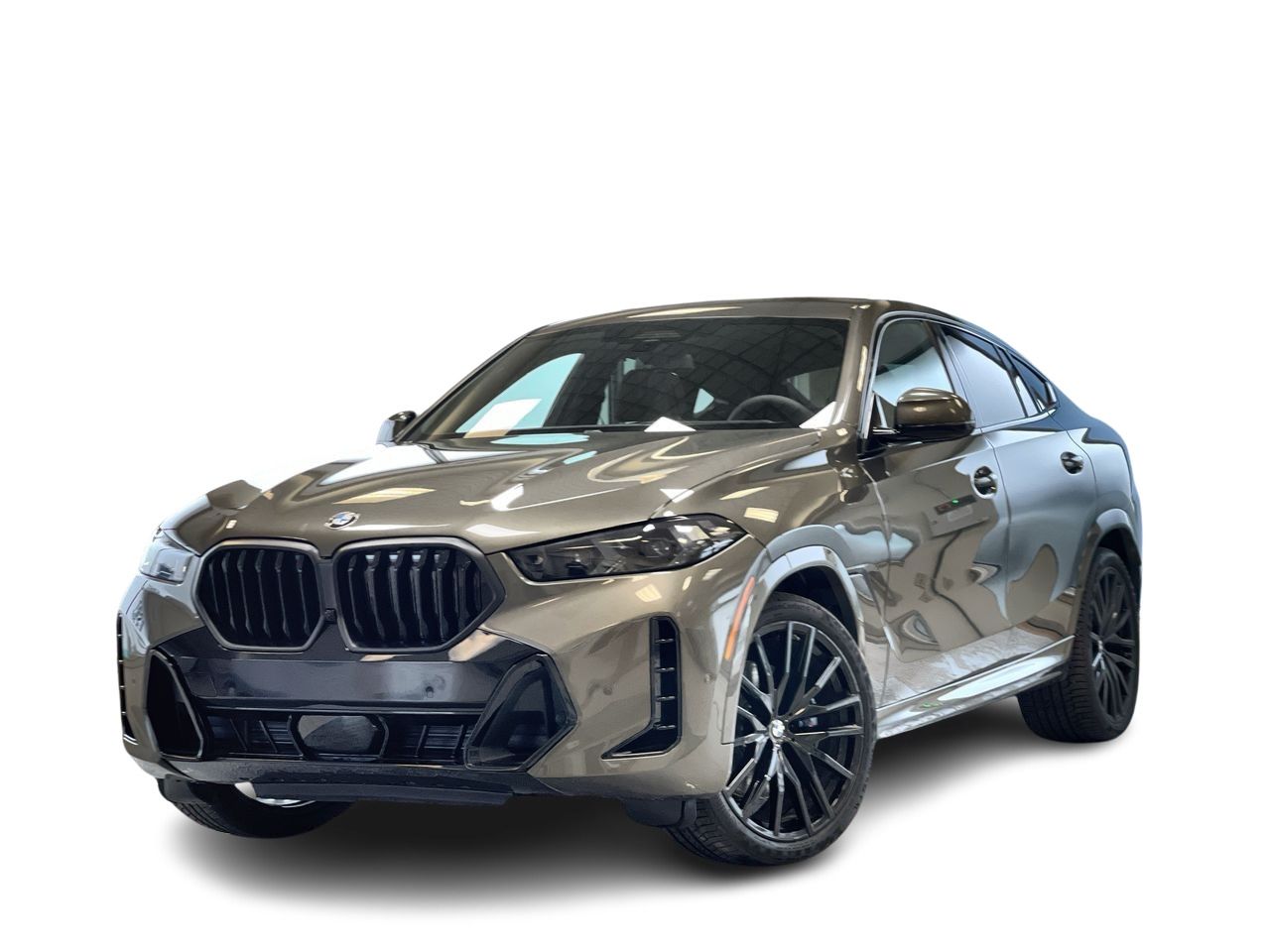 2026 BMW X6