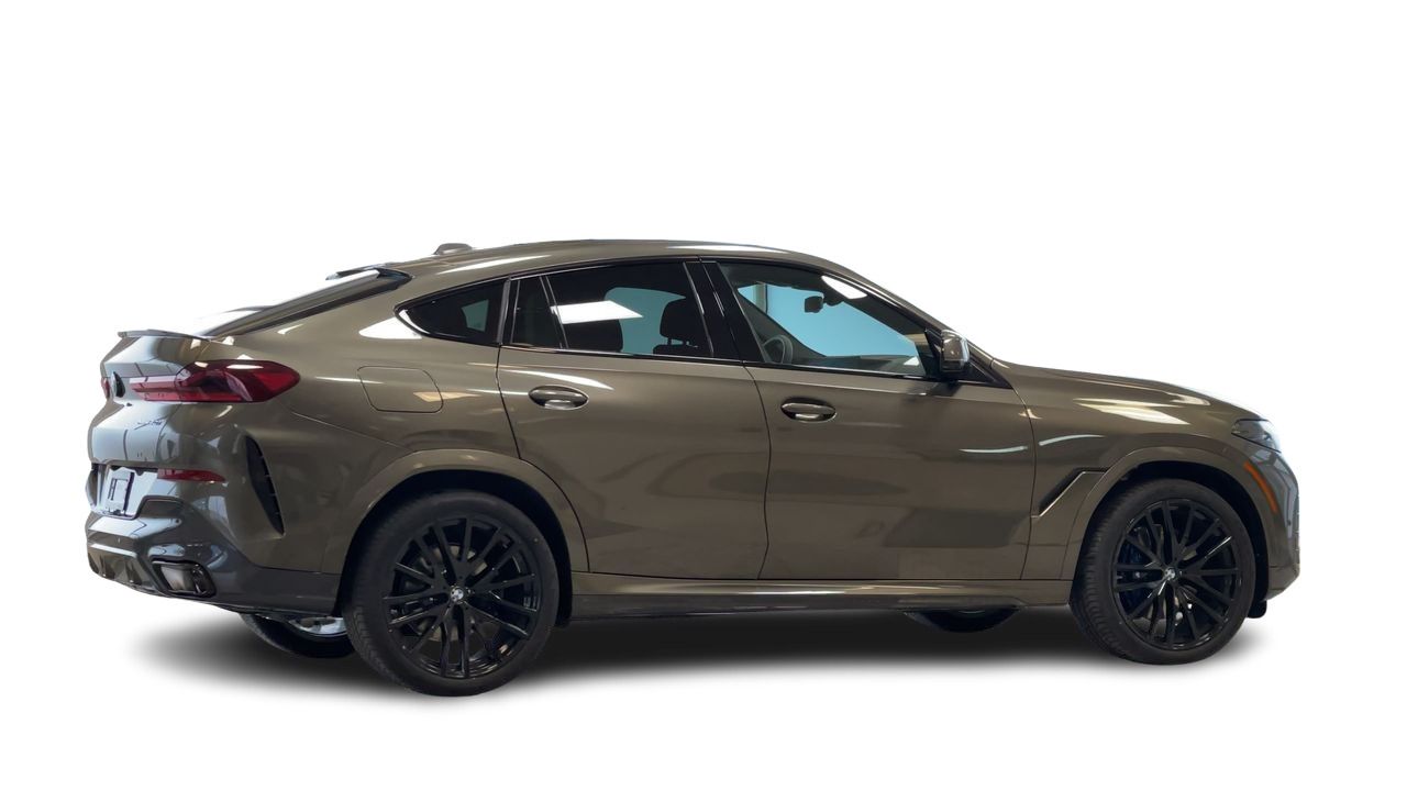 2026 BMW X6