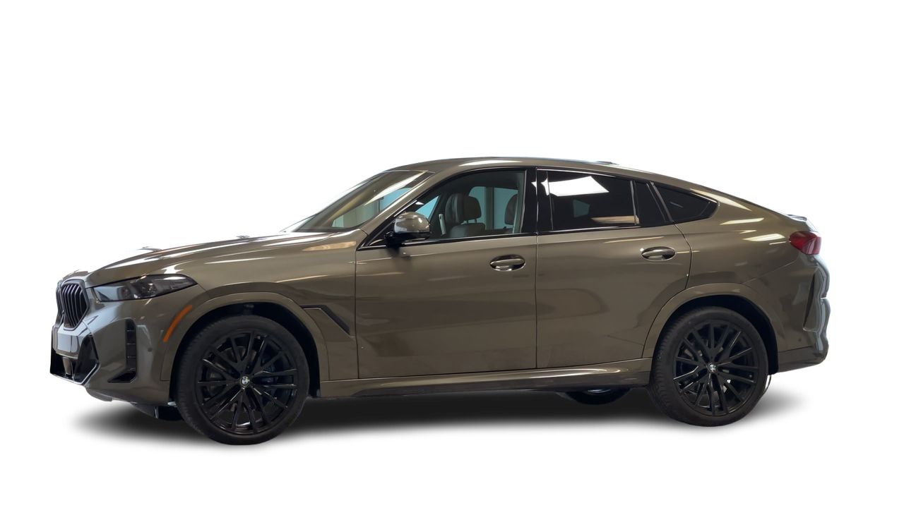 2026 BMW X6