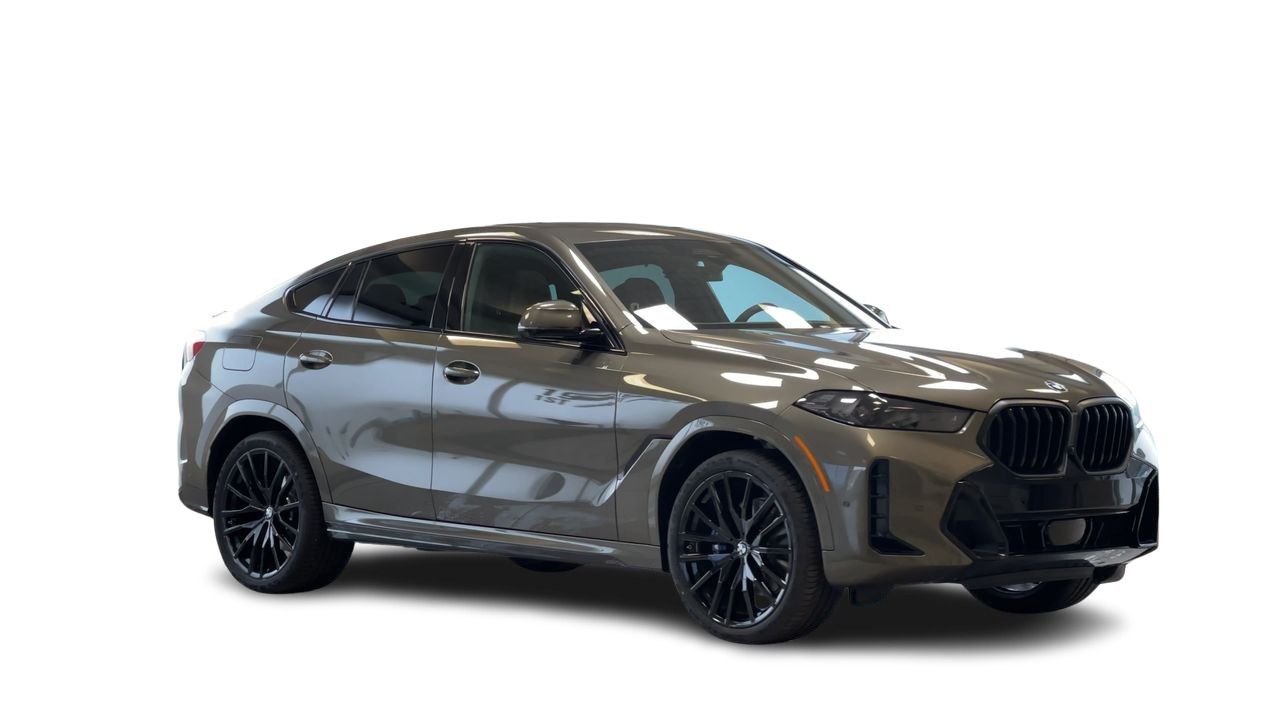 2026 BMW X6