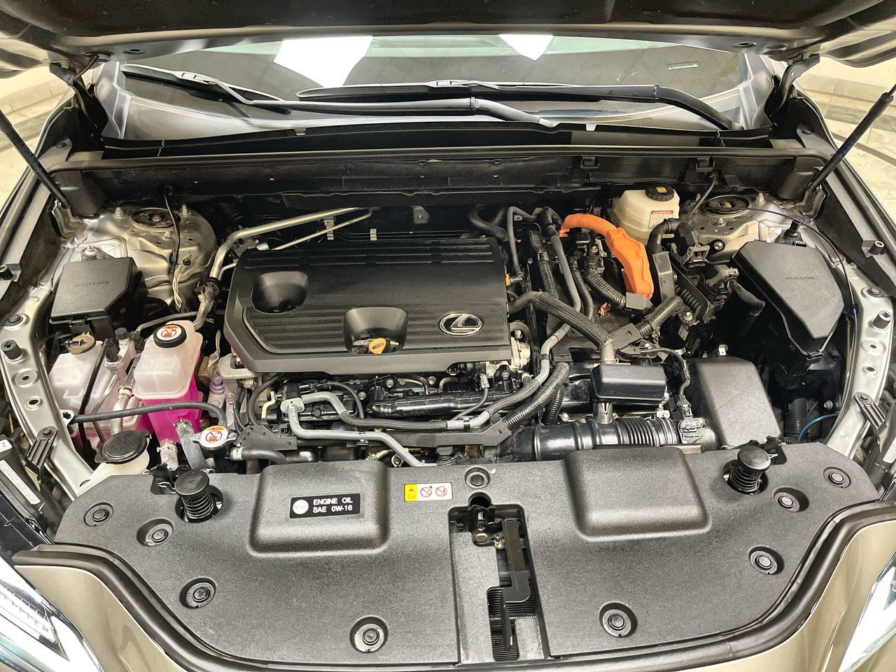 2024 Lexus NX Hybrid