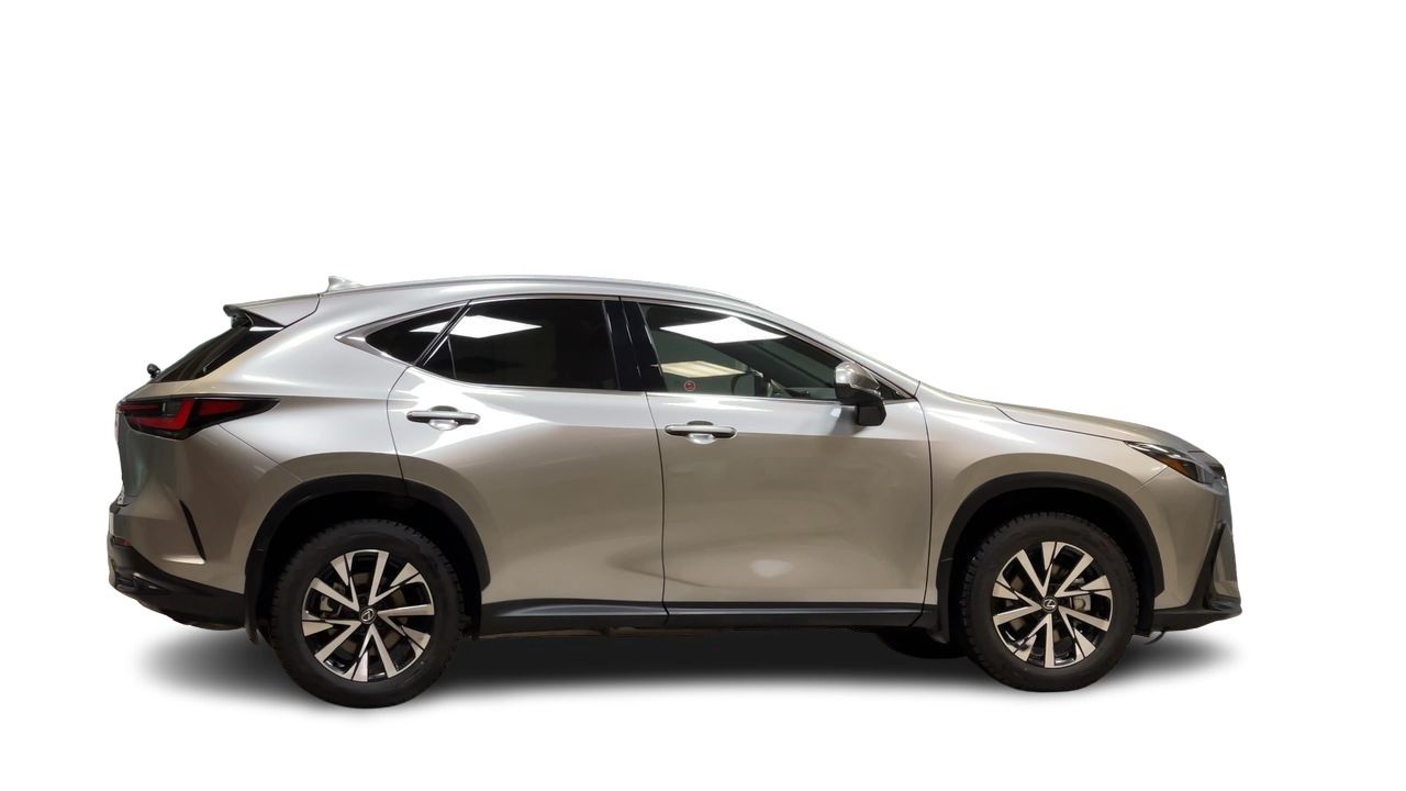 2024 Lexus NX Hybrid