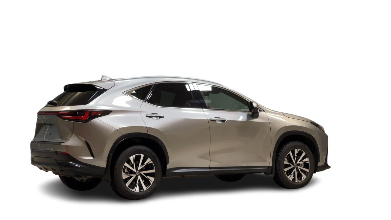 2024 Lexus NX Hybrid