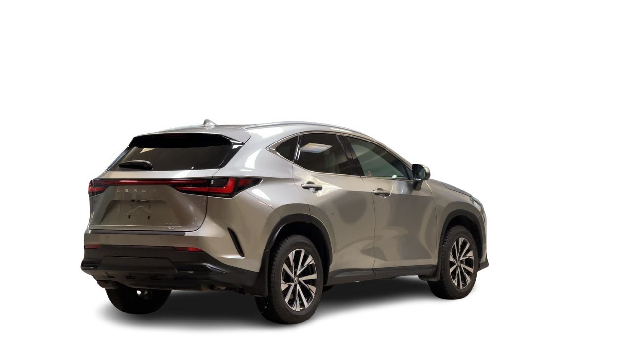 2024 Lexus NX Hybrid