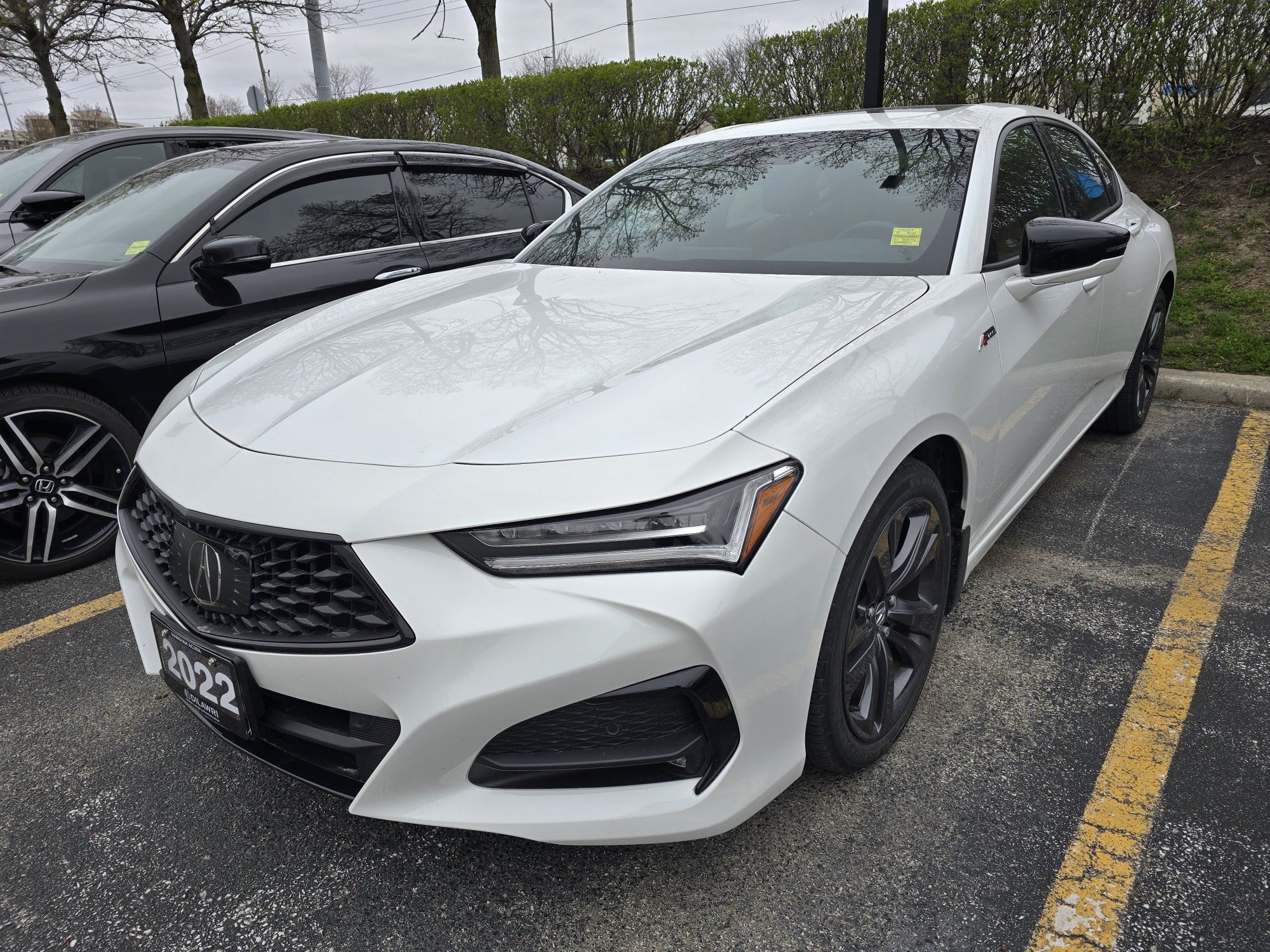 2022 Acura TLX in Markham, Ontario