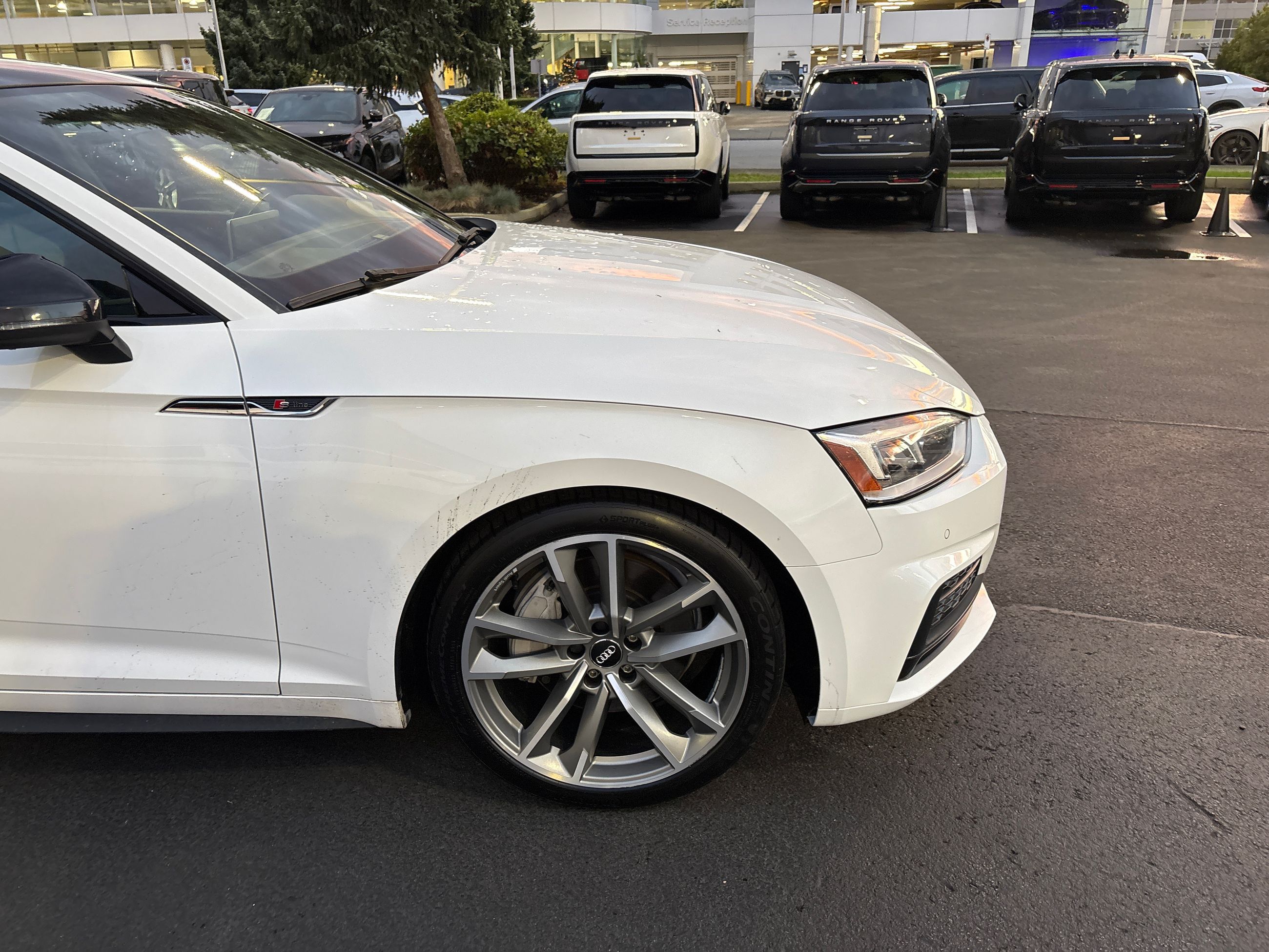 2019  A5 Sportback