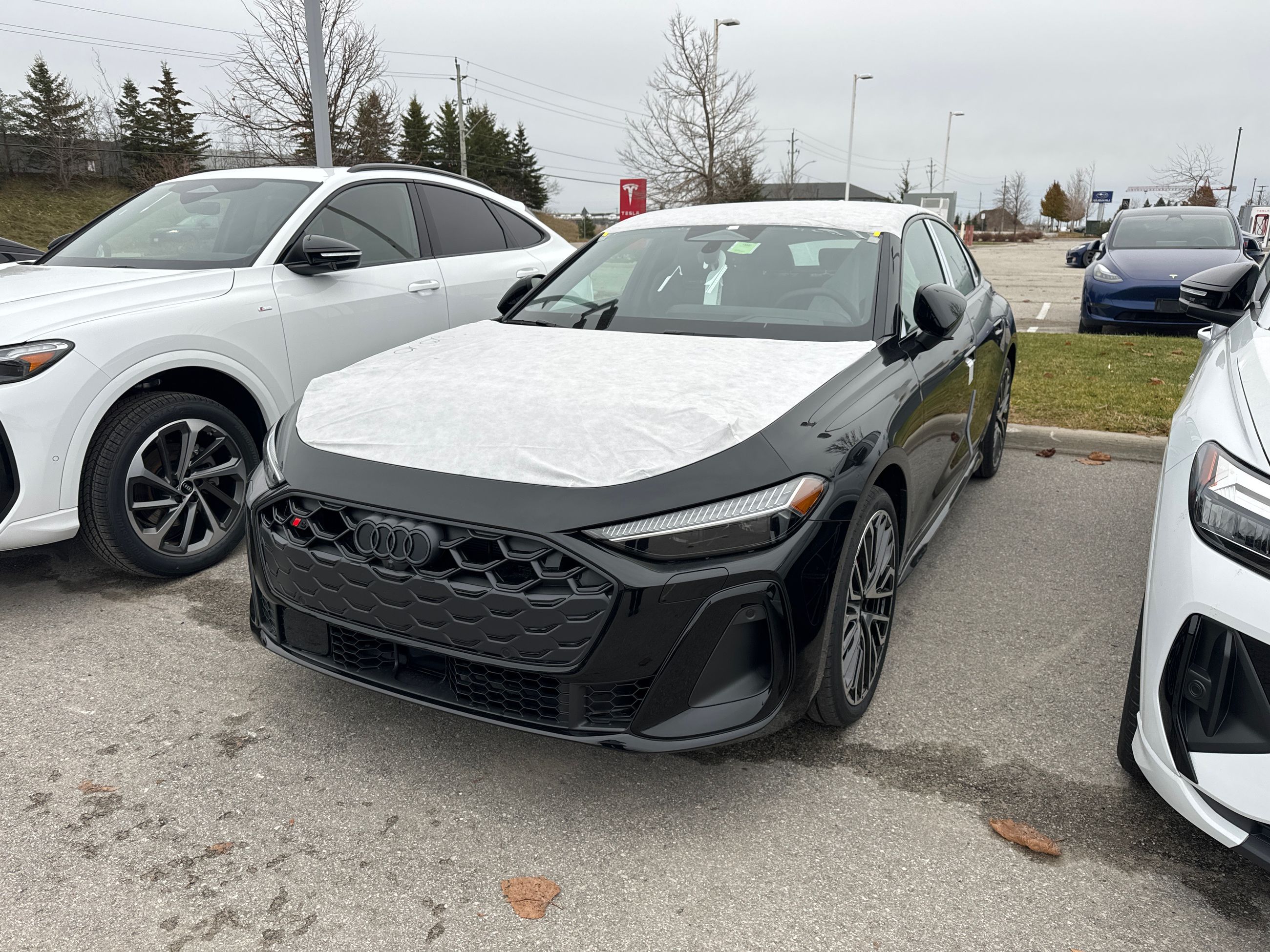 2025 Audi All-New S5 in Barrie, Ontario