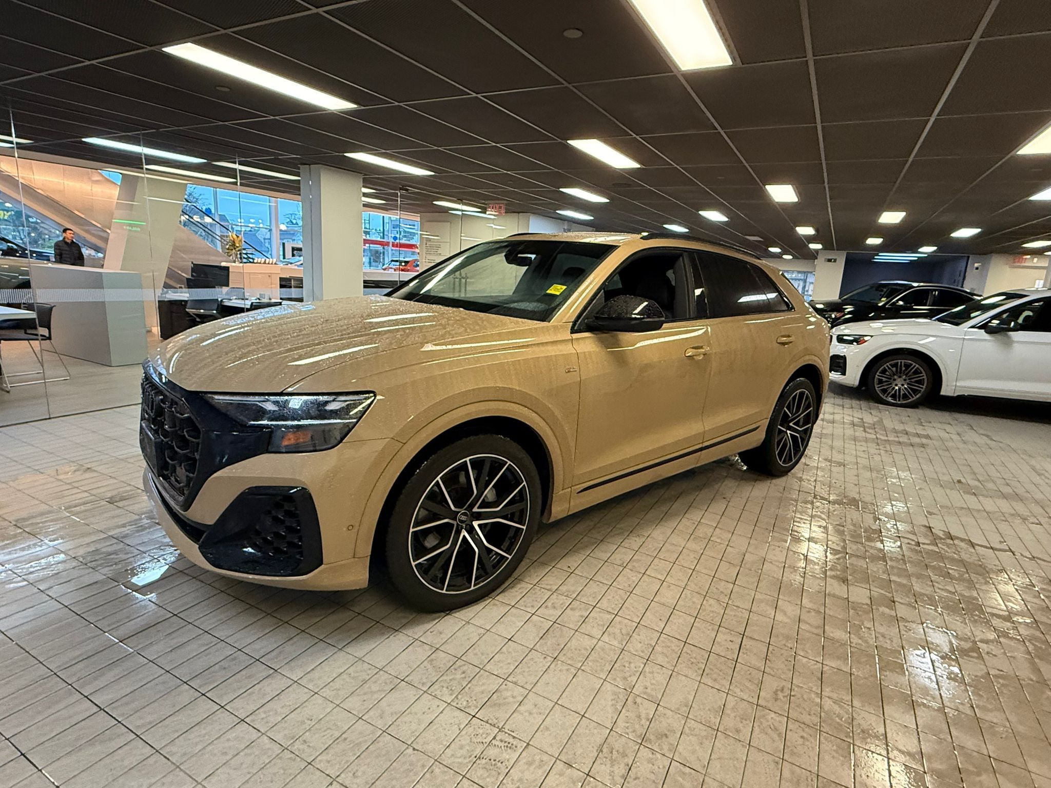 Audi Q8  2025 à Vancouver, Colombie-Britannique