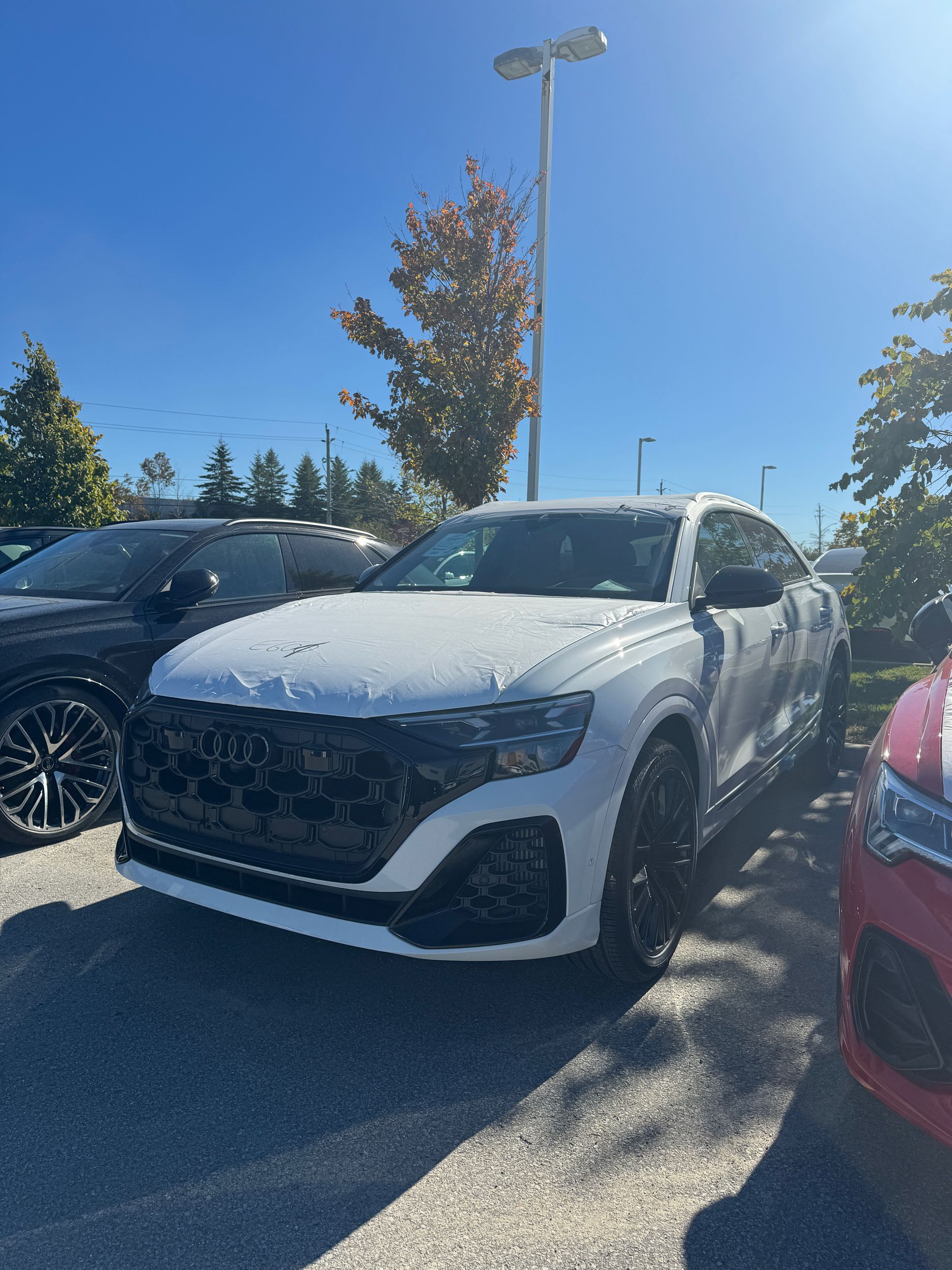 2026 Audi Q8 in Barrie, Ontario