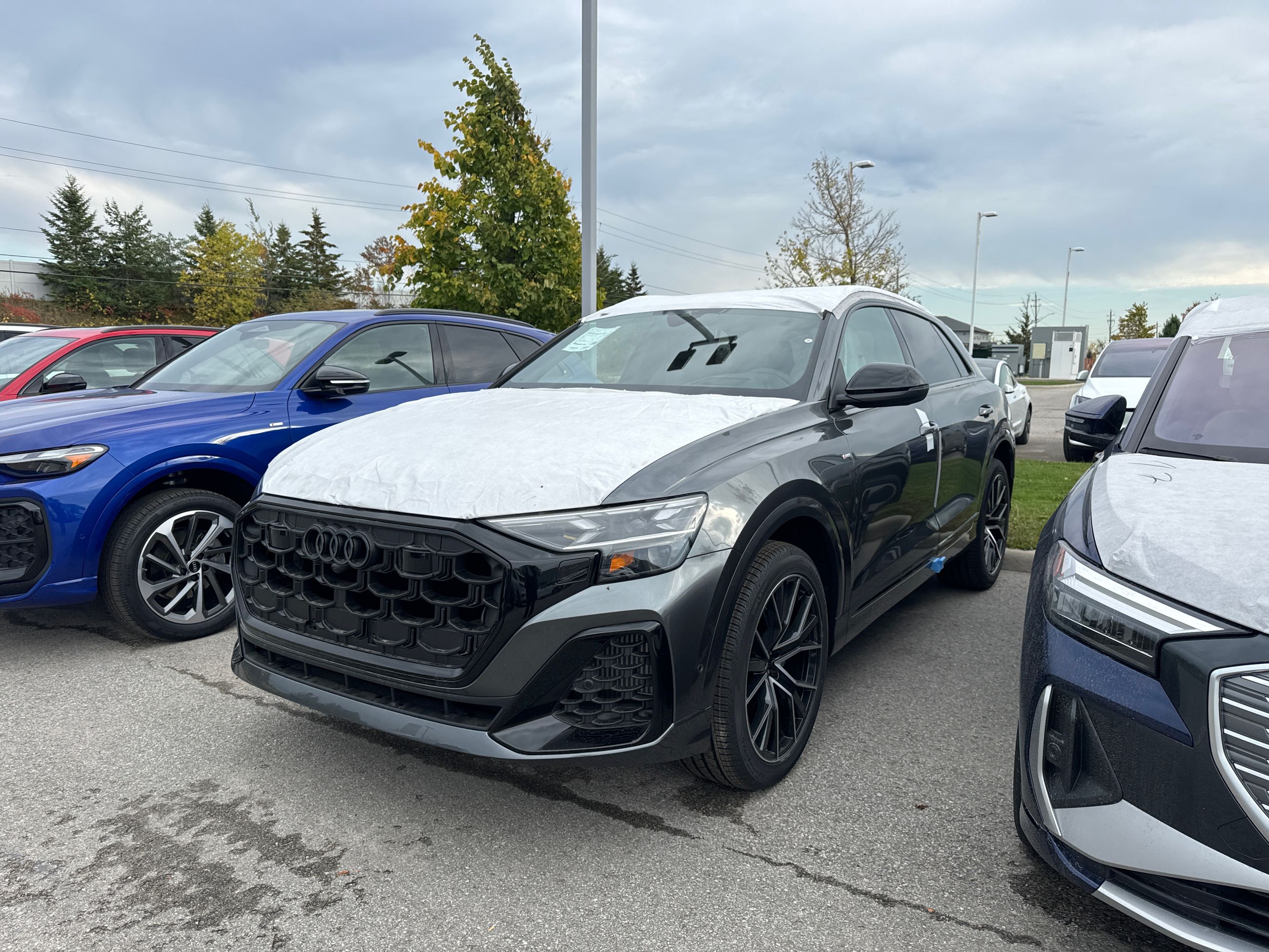 2026 Audi Q8 in Barrie, Ontario