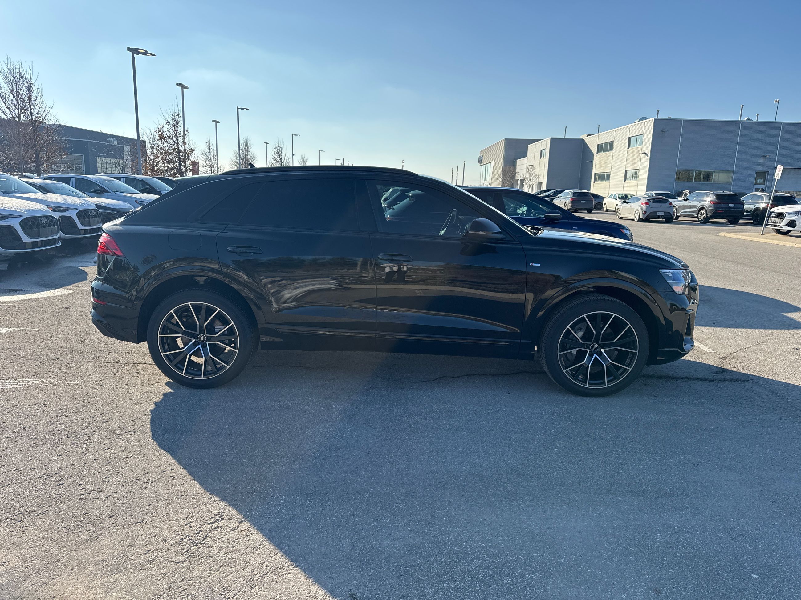 2026 Audi Q8 in Barrie, Ontario