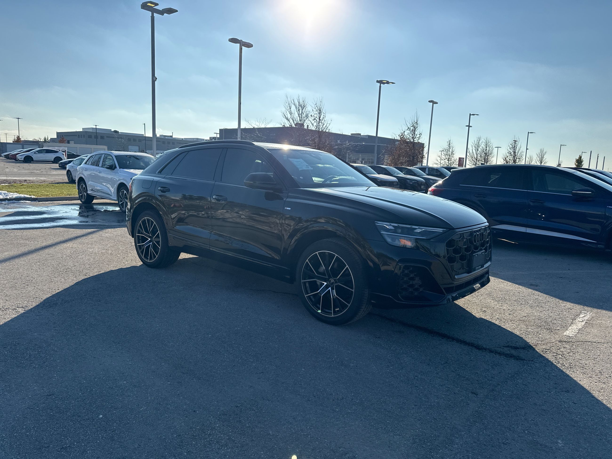 2026 Audi Q8 in Barrie, Ontario