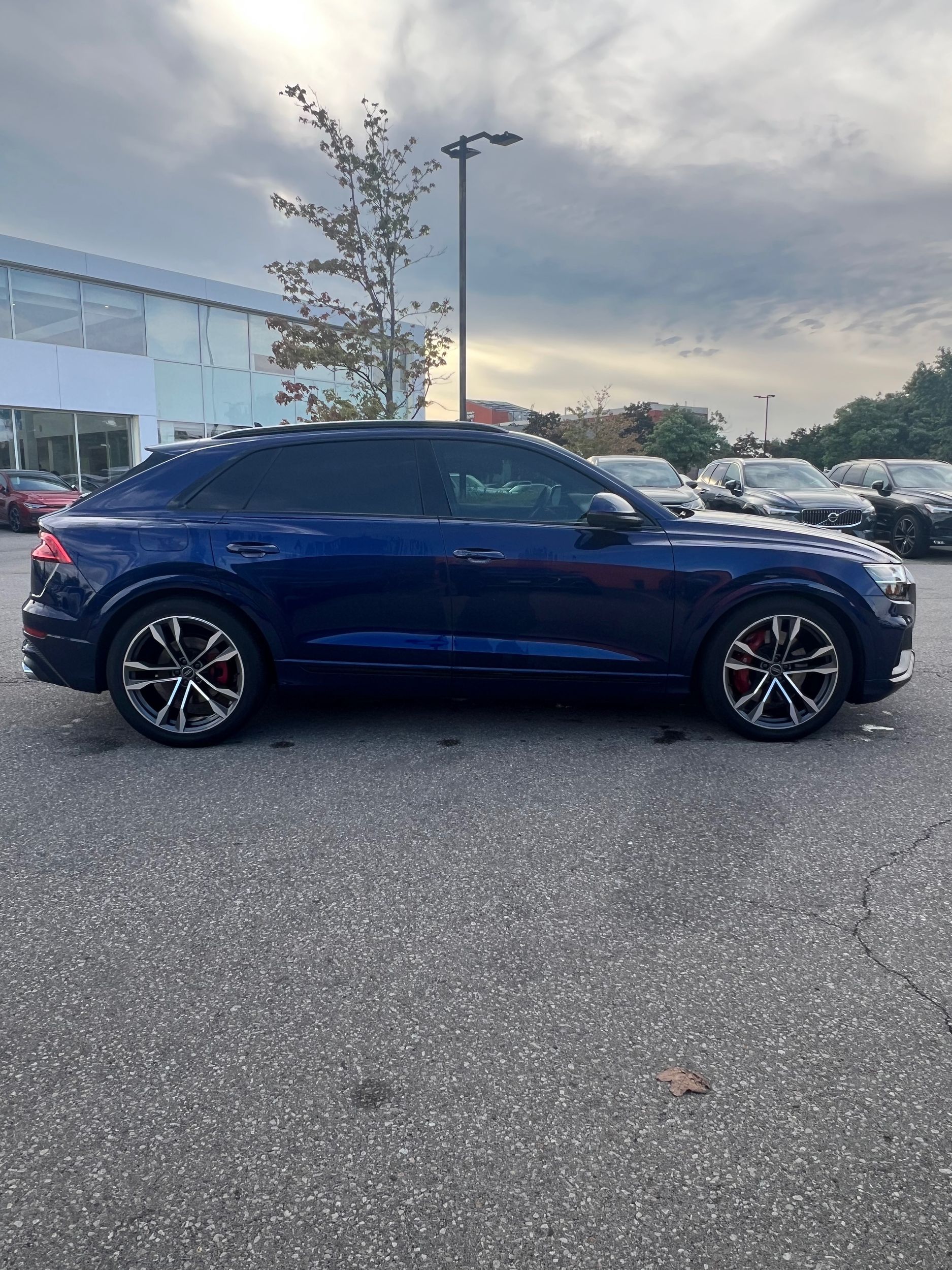 Photo 2022 Audi SQ8 4.0T quattro 8sp Tiptronic #7