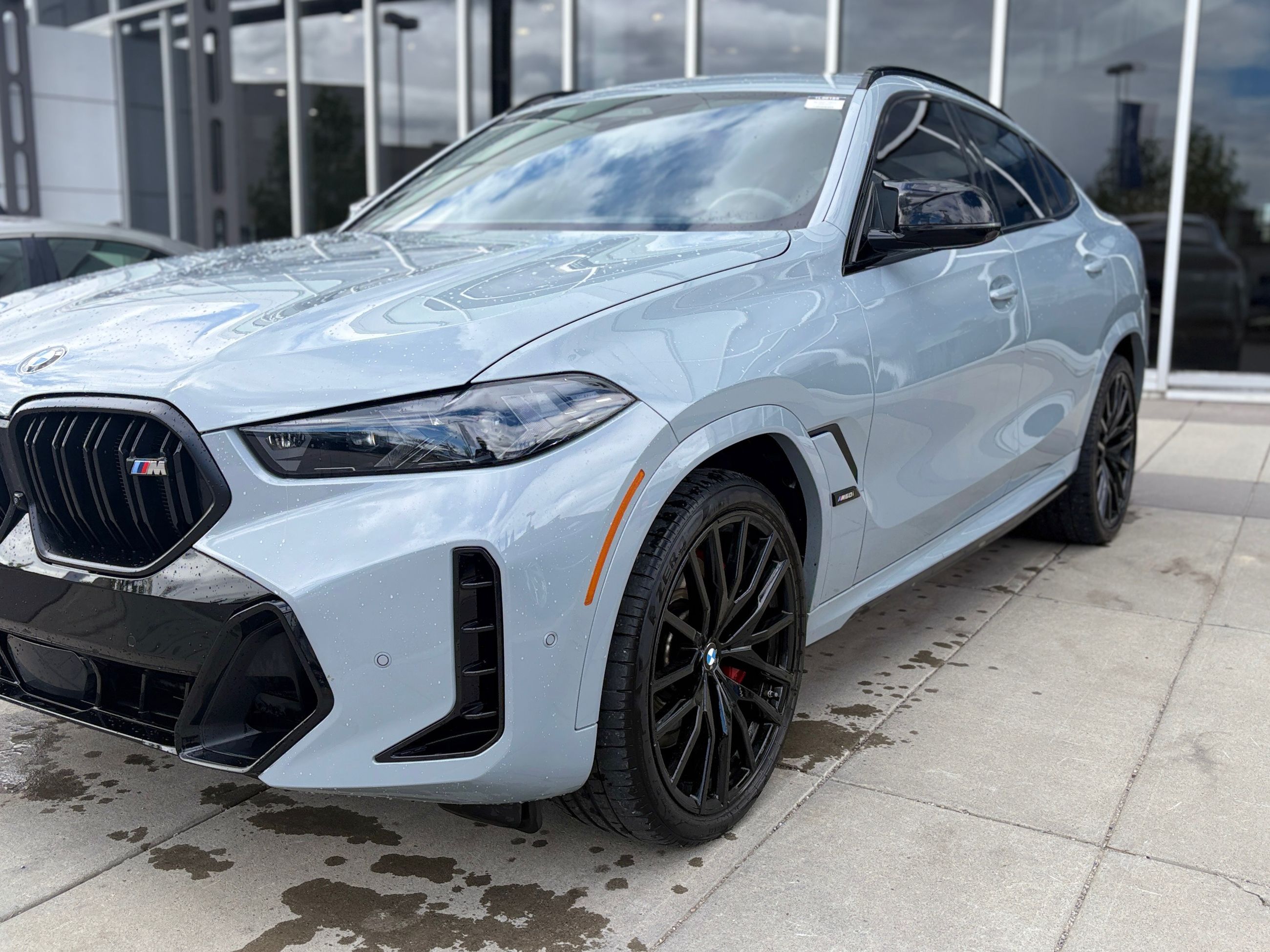 2025 BMW X6