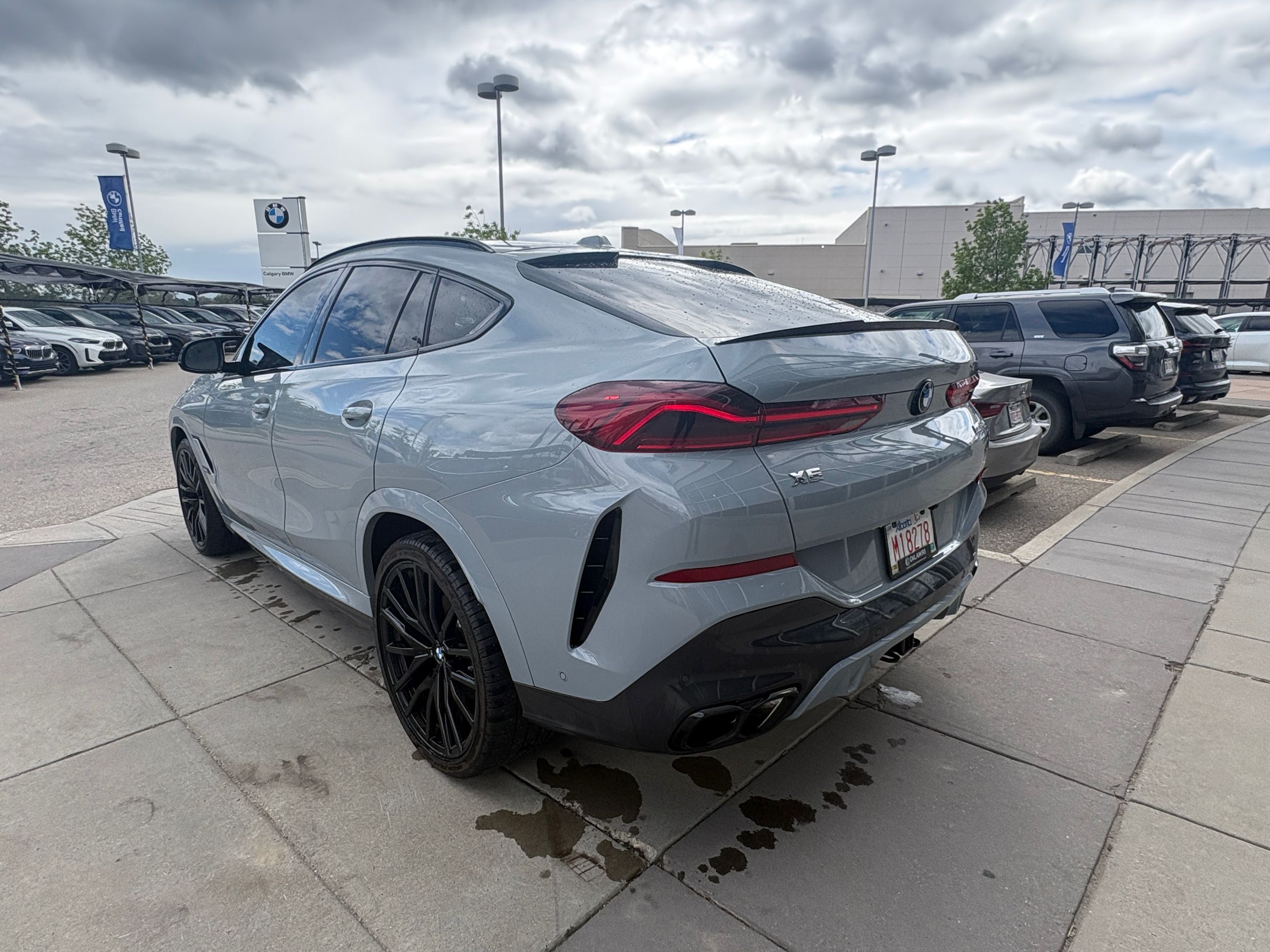 2025 BMW X6