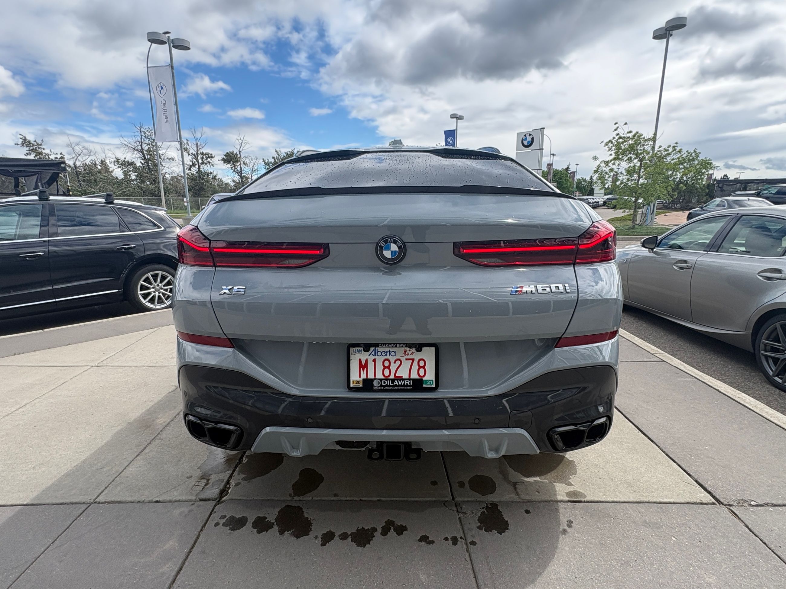 2025 BMW X6