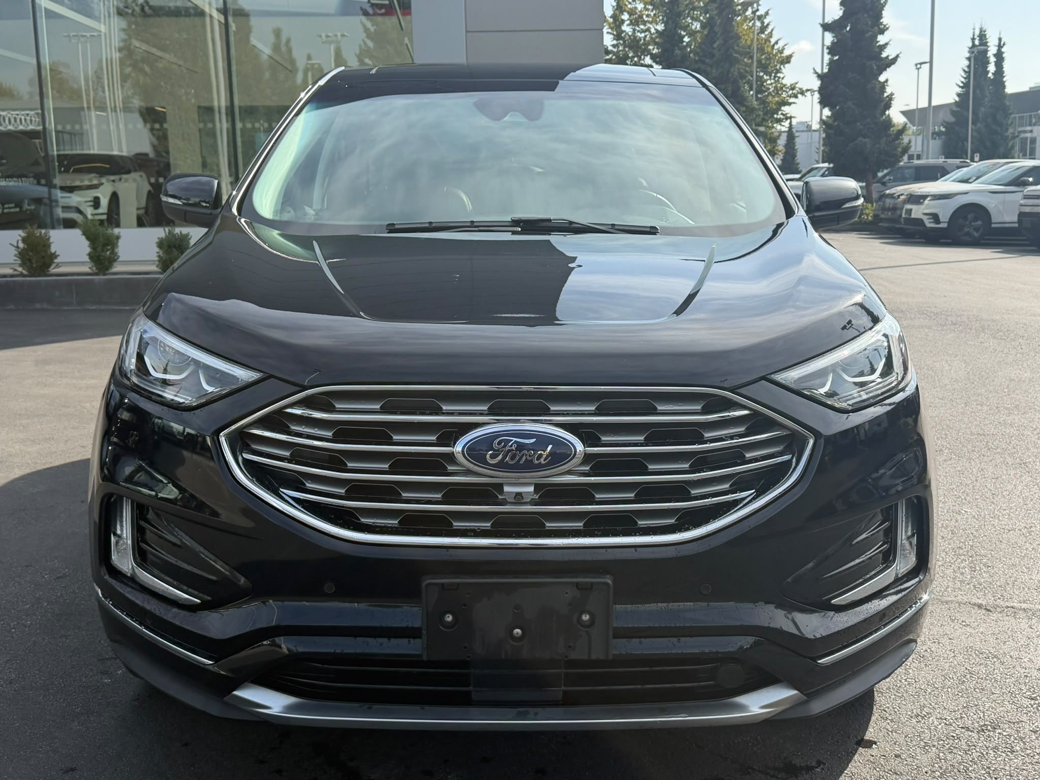 2019  Edge