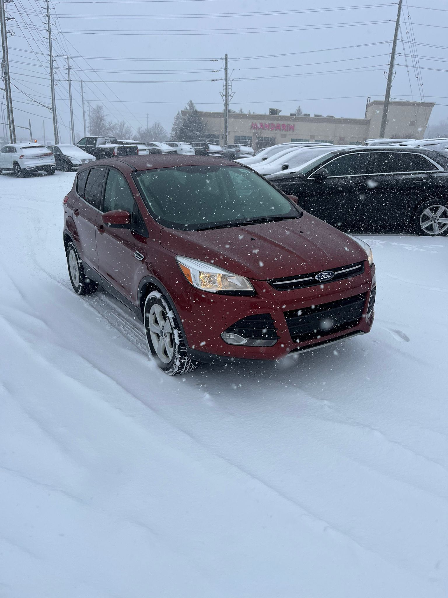 2014 Ford Escape in Barrie, Ontario