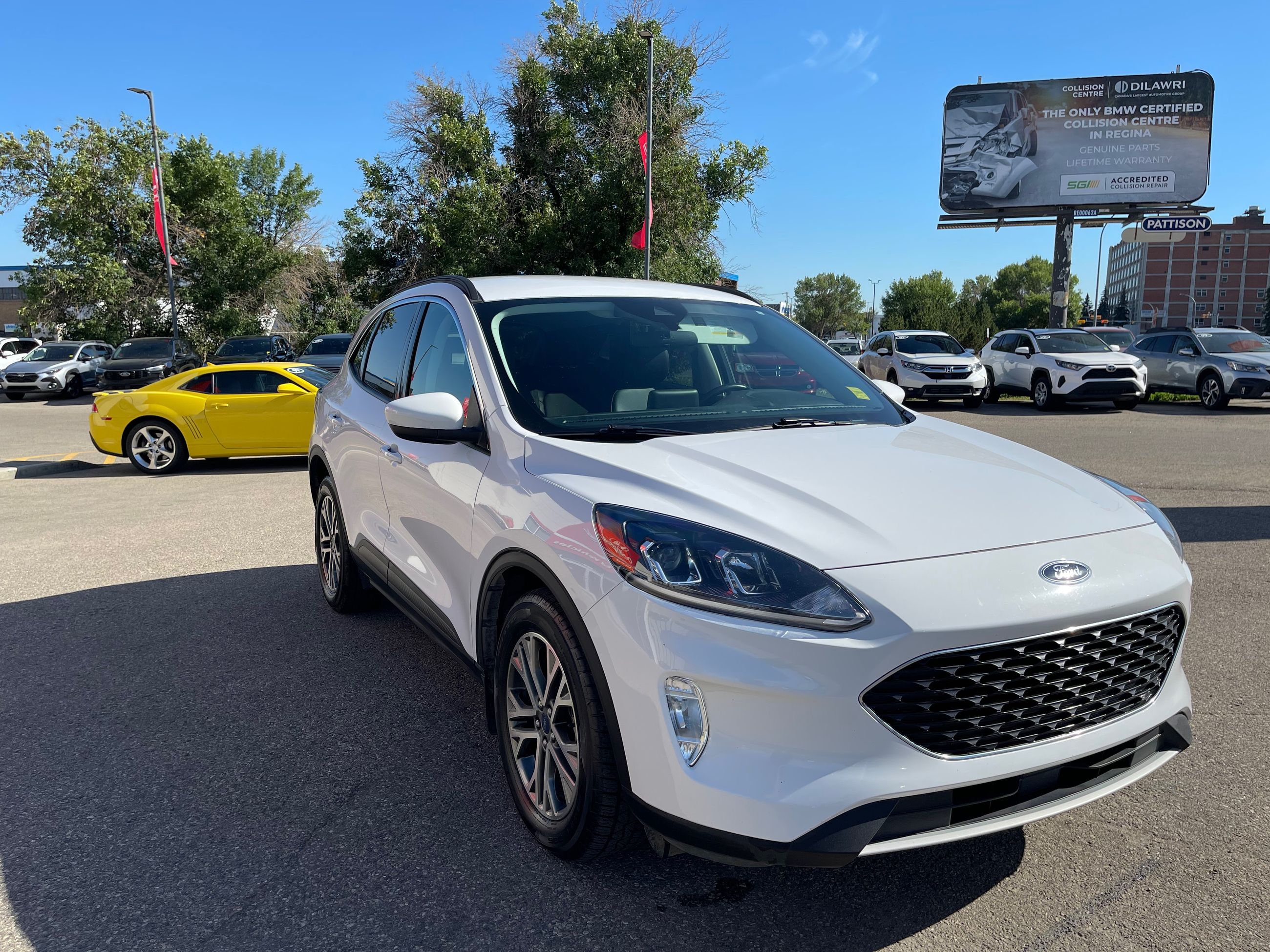 Ford Escape  2021 à Regina, Saskatchewan